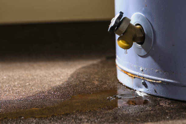  New Rochelle, NY Water damage restoration Pros