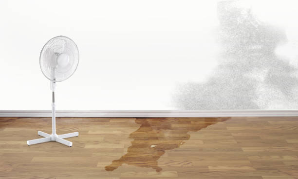Best Commercial water damage restoration  in New Rochelle, NY