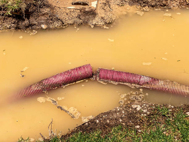 Best Water damage restoration services  in New Rochelle, NY