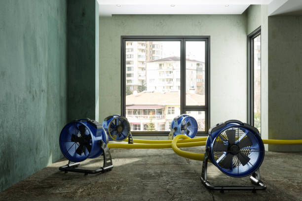 Best Ceiling water damage repair  in New Rochelle, NY